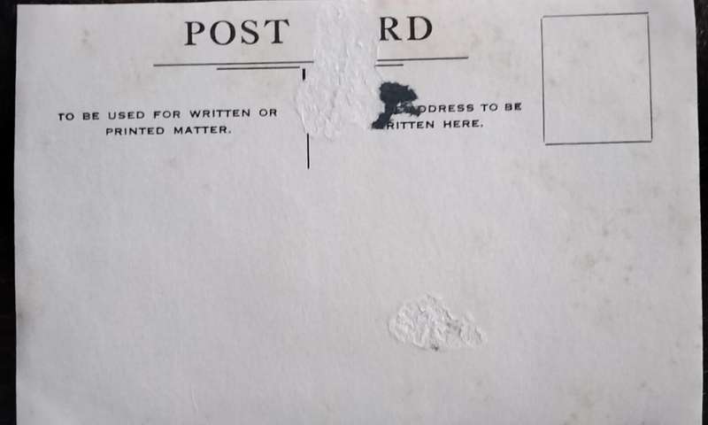 Vintage Post Card - Dogs
