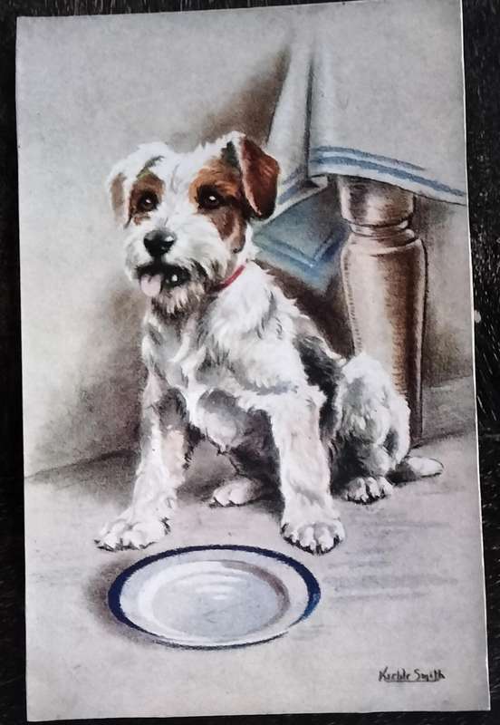 Vintage Post Card - Dogs