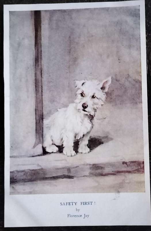 Vintage Post Card - Dogs