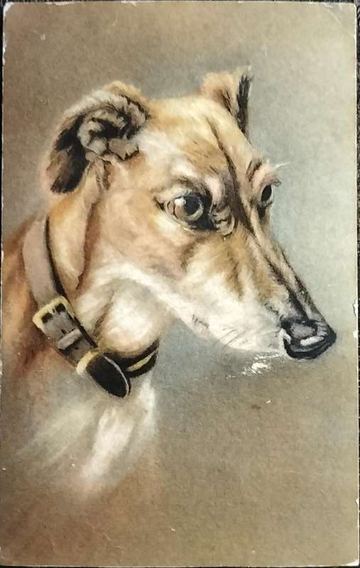Vintage Post Card - Dogs