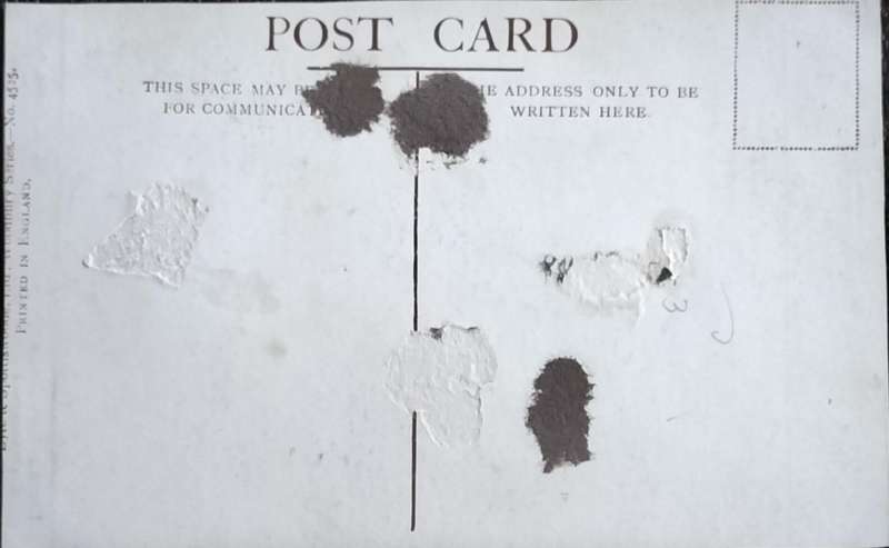 Vintage Post Card - Dogs