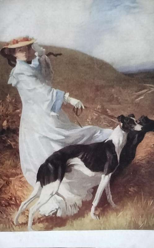 Vintage Post Card - Dogs