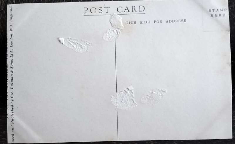 Vintage Post Card - Dogs