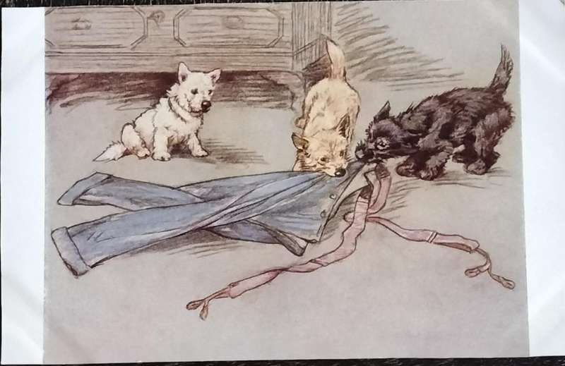 Vintage Post Card - Dogs