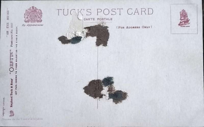 Vintage Post Card - Dogs