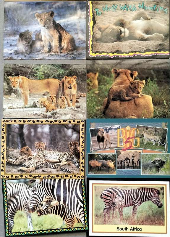 South African game Post Cards - Unused (x16)