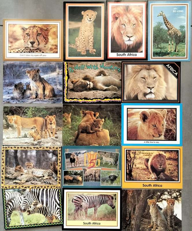 South African game Post Cards - Unused (x16)