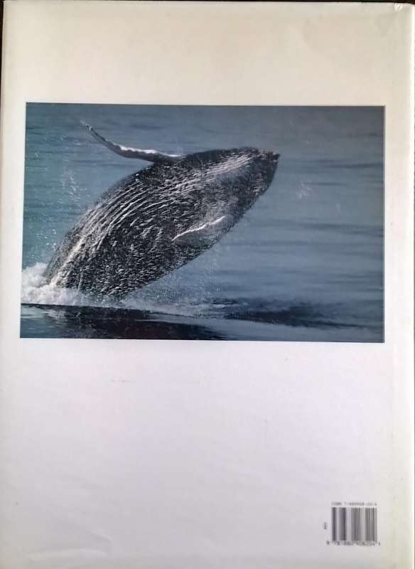 Whales and Dolphins - a portrait of the animal world (Cleave - 1994)