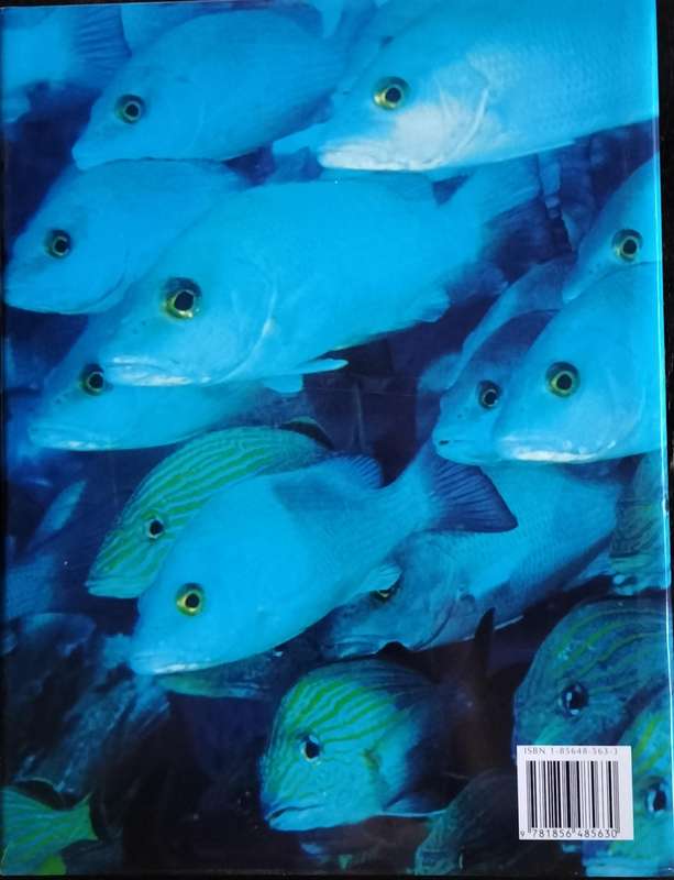 Ocean Life (Morgan & Lalor - 2001)