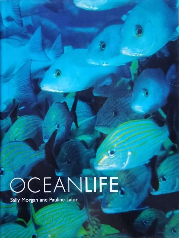 Ocean Life (Morgan & Lalor - 2001)
