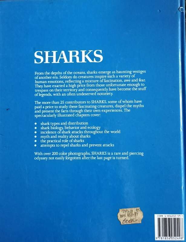 Sharks 1989