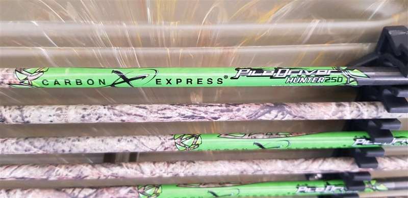 Bowtech Destroyer 350 compound bow