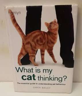 Book  : What is my Cat Thinking - Gwen Bailey