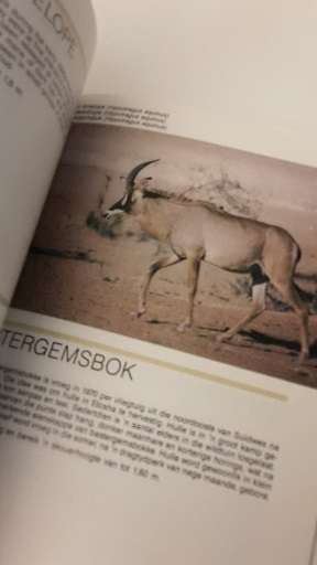Book : Animals of Etosha , die tiere in Etosha , diere van Etosha