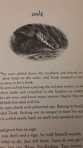 Book : Outcast , Cronicles of Ancient Darkness - Michelle Paver