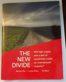 Books  : The New Divide , hardcover