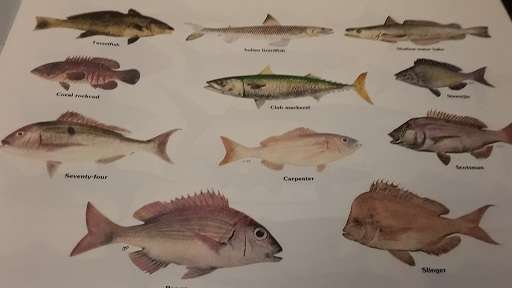 A Guide To Matine Conservation booklet