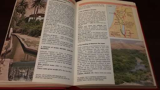 Book - The Lion , Handbook to the Bible illustrated colour