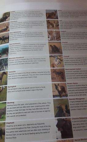 Book :  Pilanesberg National Park  Map and Guide Book