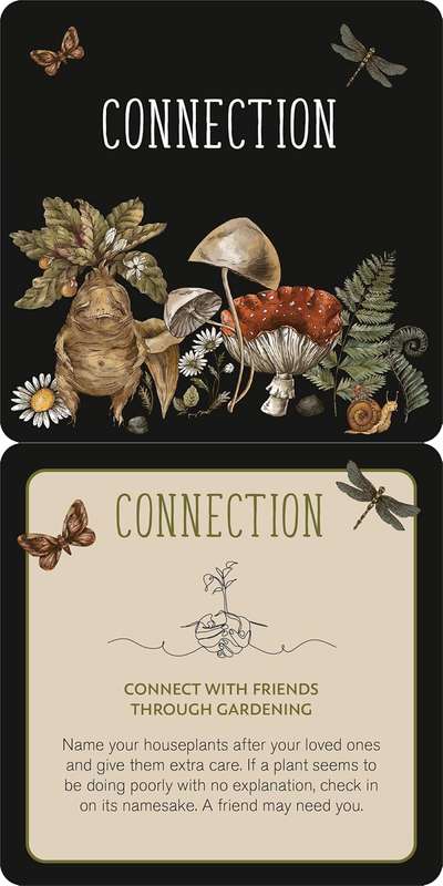 Everyday Spells for Busy Witches Insight Cards by Sarah Carter