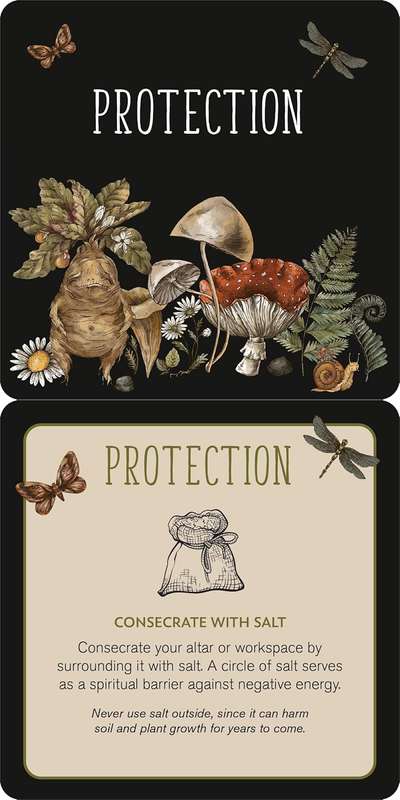 Everyday Spells for Busy Witches Insight Cards by Sarah Carter