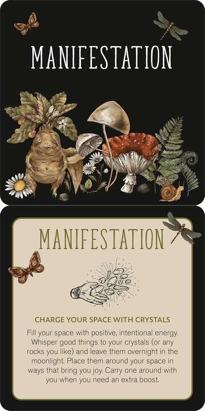 Everyday Spells for Busy Witches Insight Cards by Sarah Carter