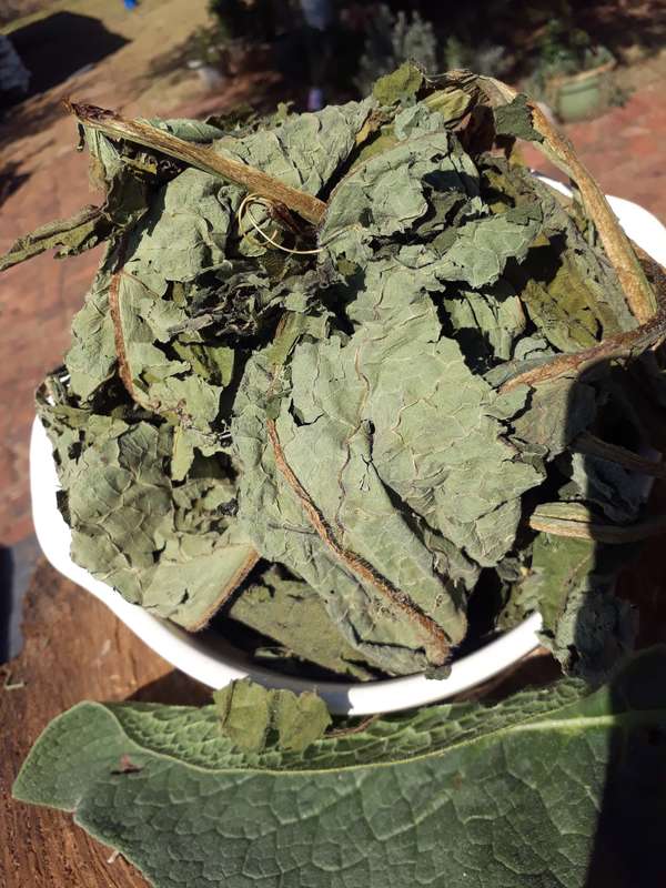 Comfrey leaves (30g dried)