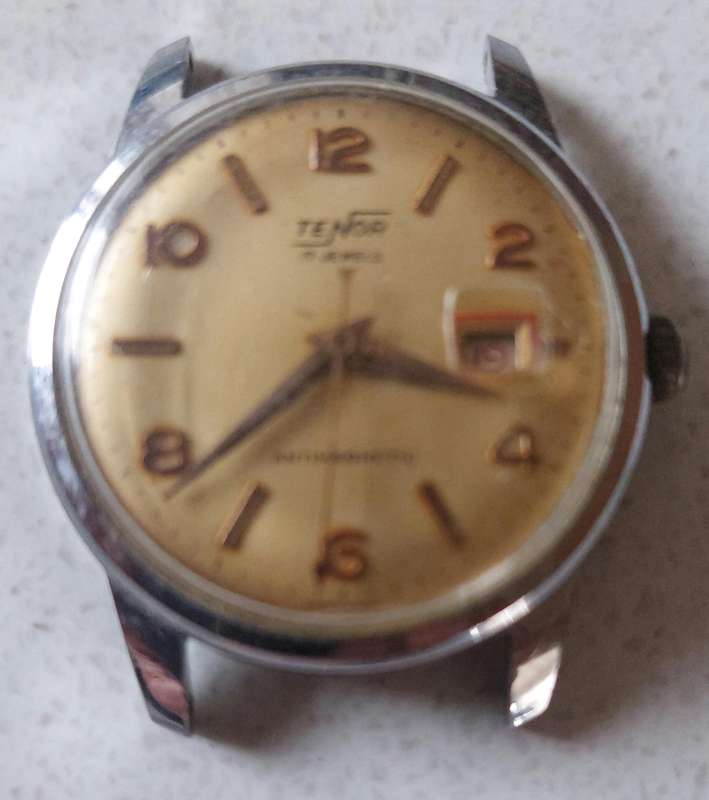 Gents Swiss made 17 Jewel Tenor watch