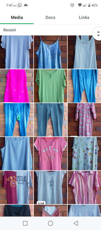 Ladies clothing lot (+-120 items)