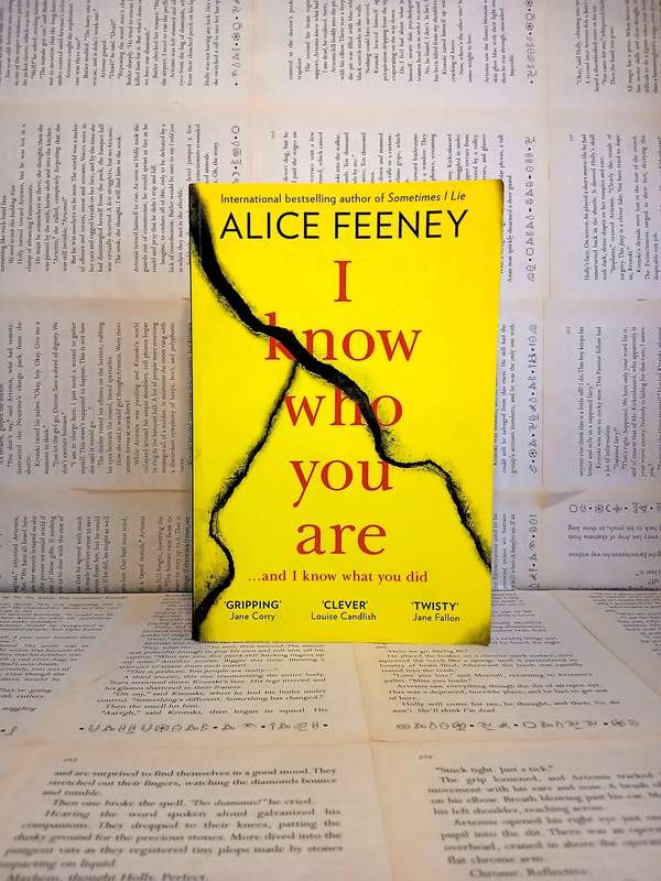 I Know Who You Are by Alice Feeney