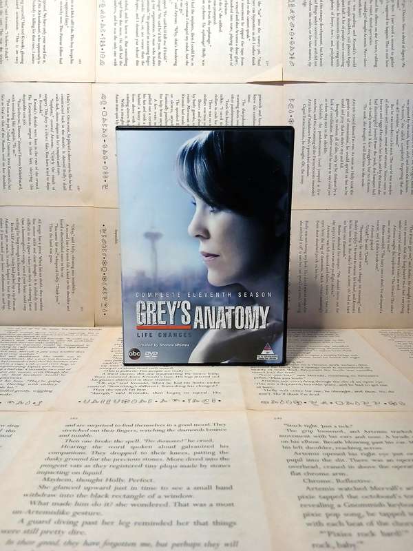Grey Anatomy Season 11 [DVD]