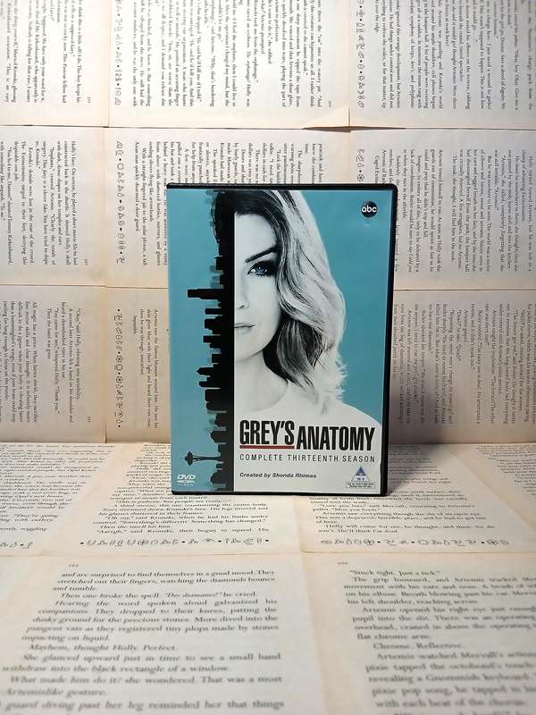 Grey's Anatomy Season 13 [DVD]