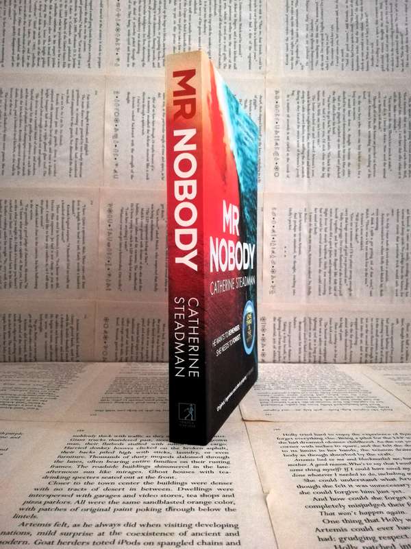 Mr Nobody by Catherine Steadman