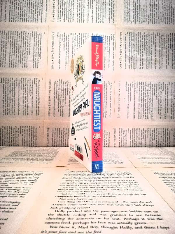 The Naughtiest Girl in the School by Enid Blyton