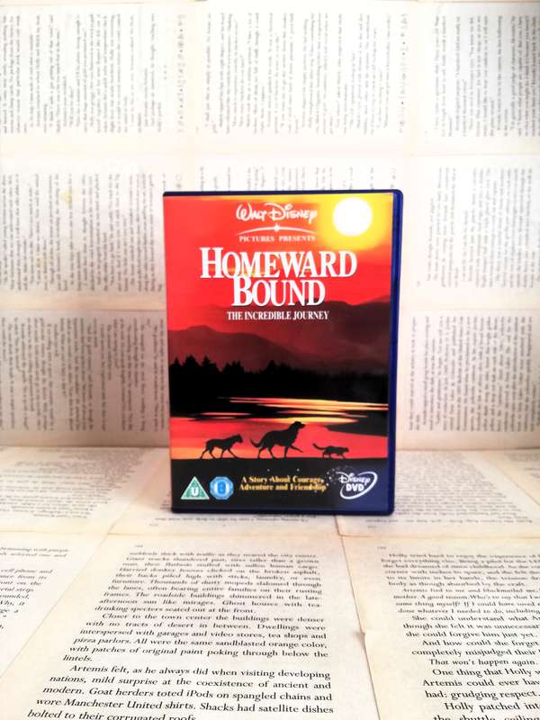 Homeward Bound: The Incredible Journey [DVD]