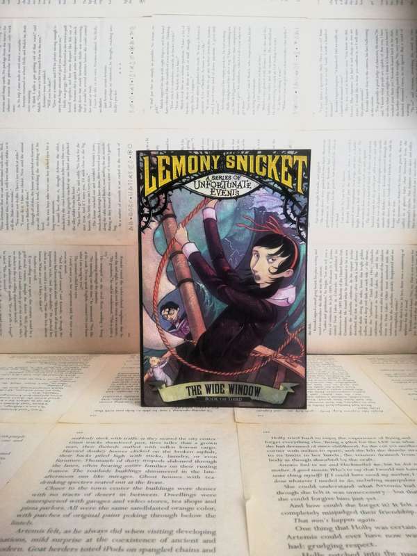 A Series of Unfortunate Events: The Wide Window by Lemony Snicket (Book 3)