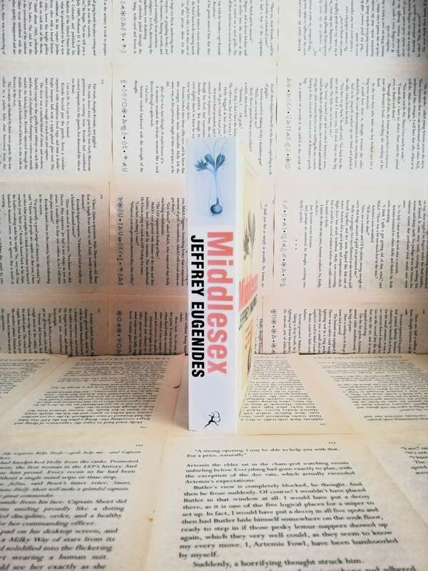 Middlesex by Jeffrey Eugenides