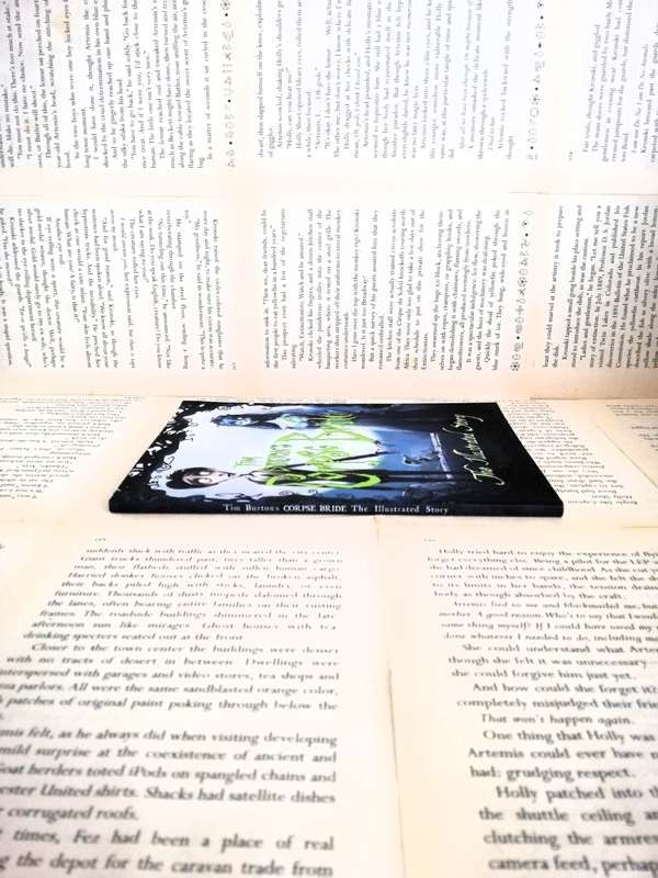 Corpse Bride: The Illustrated Story by Tim Burton