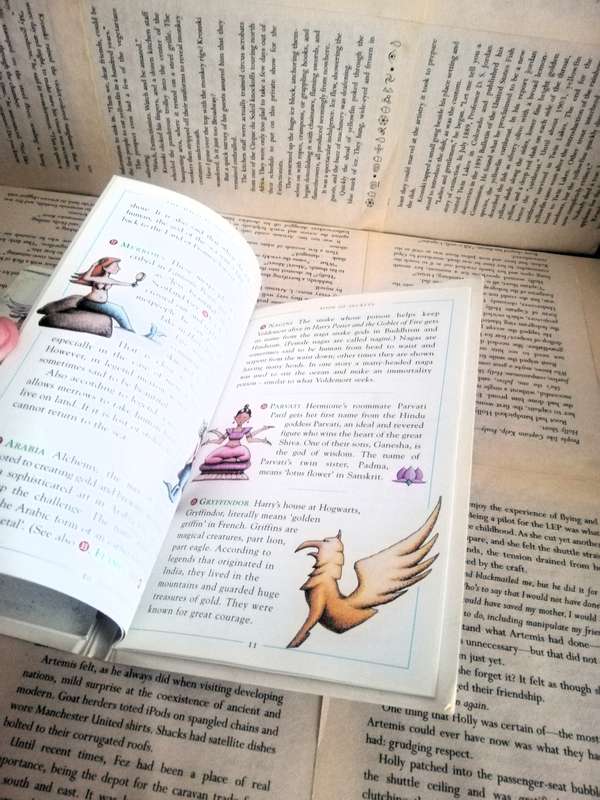 The Magical Worlds of Harry Potter Spellbinding Map and Book of Secrets by David Colbert