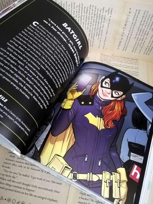 DC Brave and Bold!: Female DC Super Heroes Take On the Universe