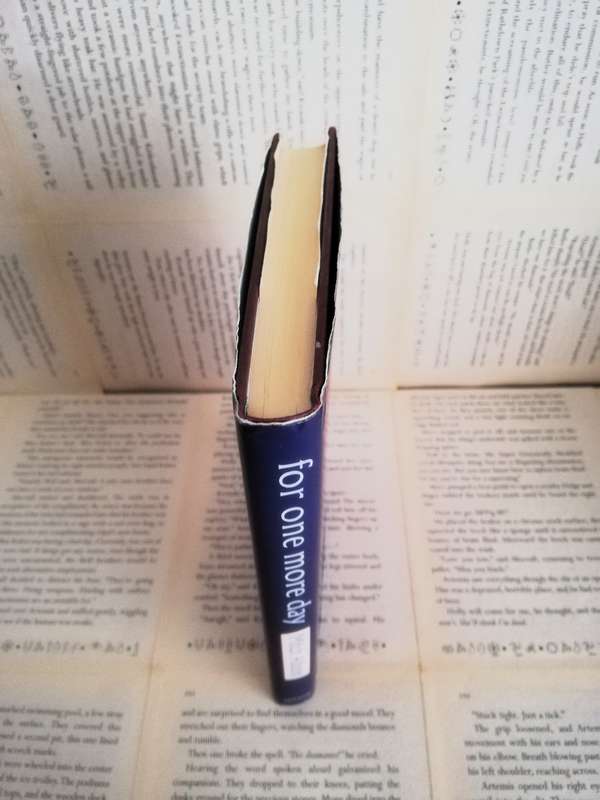 For One More Day by Mitch Albom