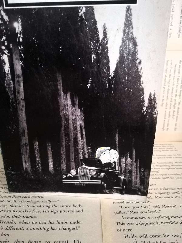 The Great Gatsby by F. Scott Fitzgerald