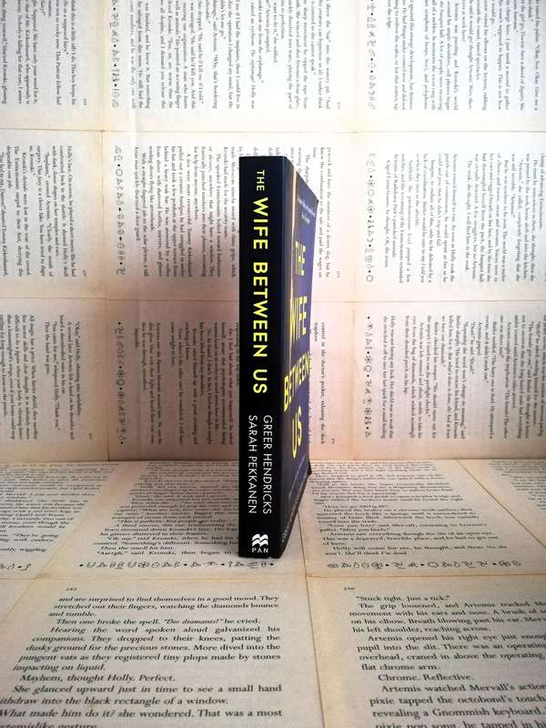 The Wife Between Us by Greer Hendricks and Sarah Pekkaneen