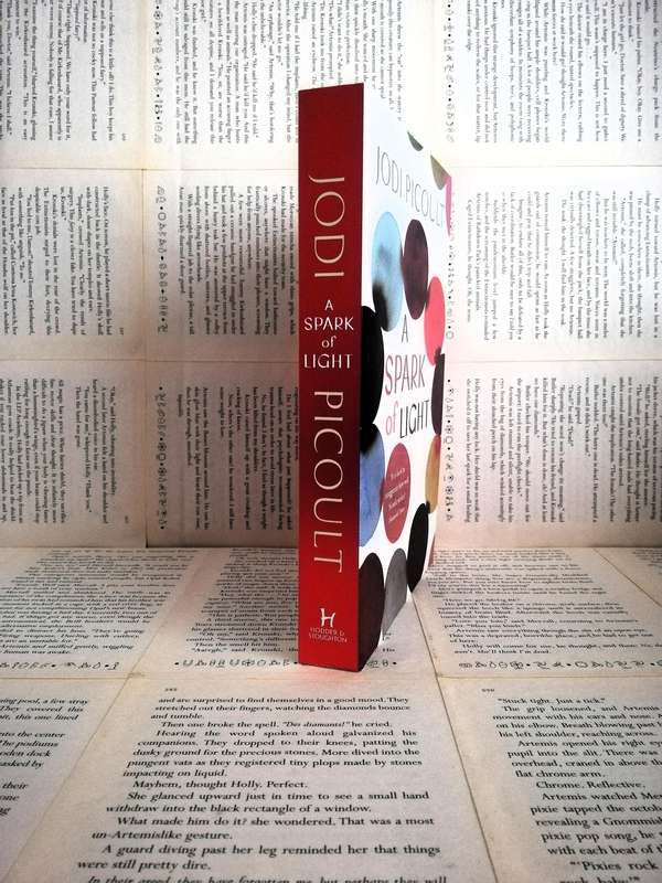 A Spark of Light by Jodi Picoult