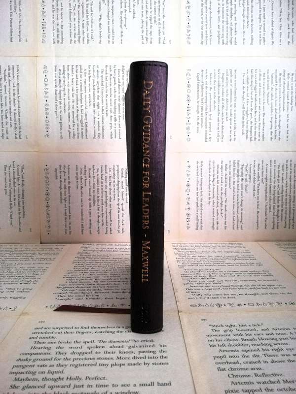 Daily Guidance for Leaders by John C. Maxwell (Imitation Leather)