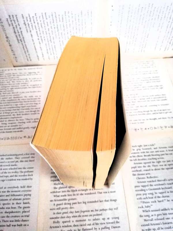 IT by Stephen King (Old cover) (1987 Edition)