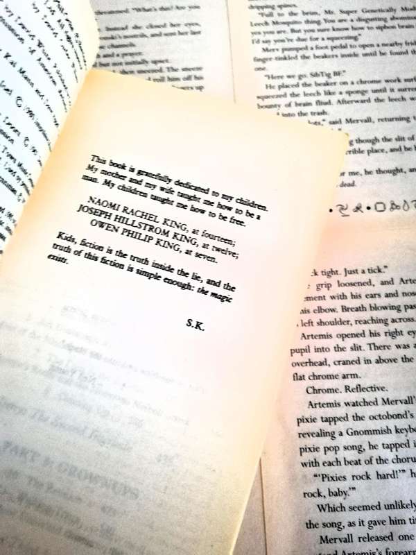 IT by Stephen King (Old cover) (1987 Edition)