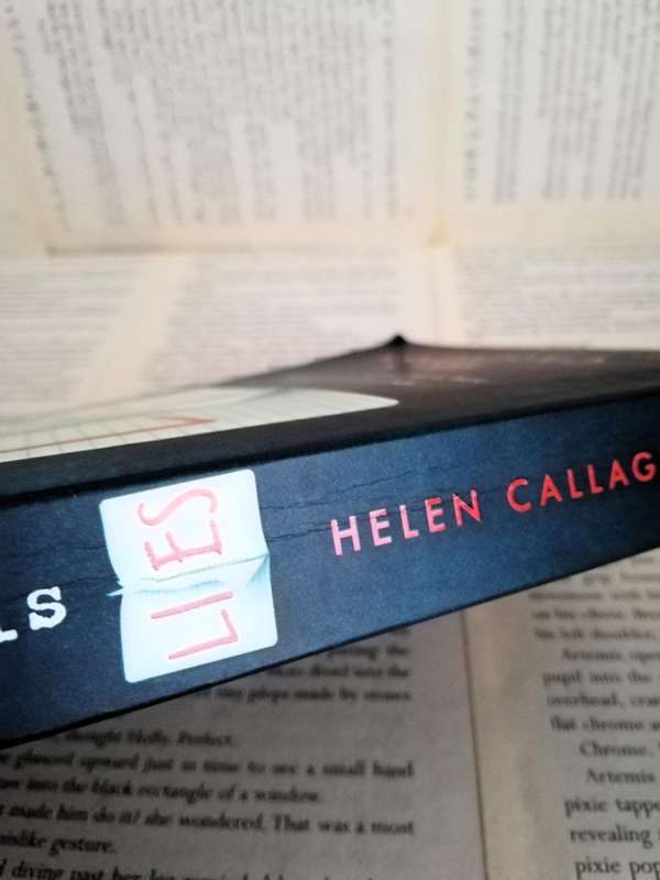Everything is Lies by Helen Callaghan