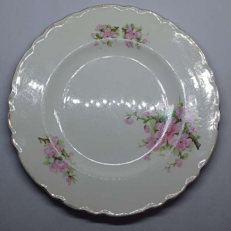 Vintage A. J. Wilkinson Ltd "Royal Staffordshire Pottery" side plate