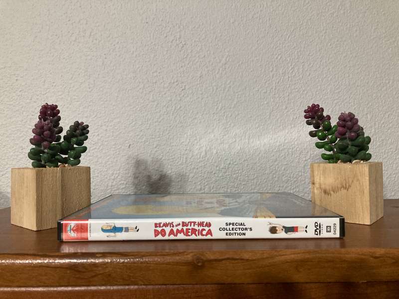 Beavis and Butt-Head Do America (Special Collector's Edition) - DVD - NTSC